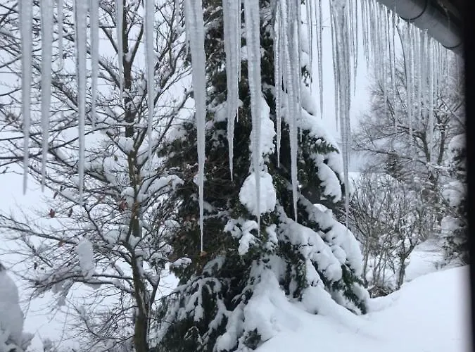Sauerlandtraum Hébergement de vacances *